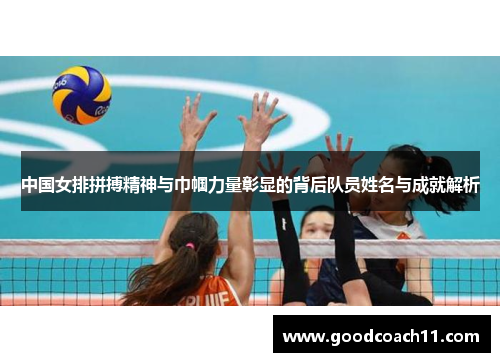 中国女排拼搏精神与巾帼力量彰显的背后队员姓名与成就解析