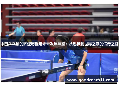 中国乒乓球的辉煌历程与未来发展展望：从起步到世界之巅的传奇之路
