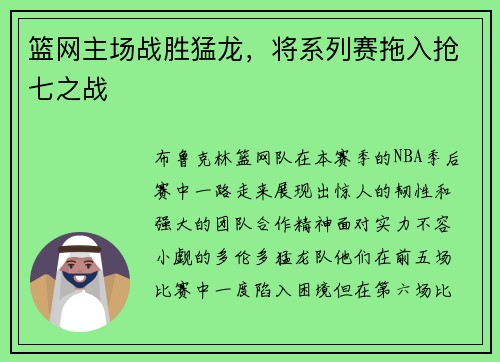 篮网主场战胜猛龙，将系列赛拖入抢七之战